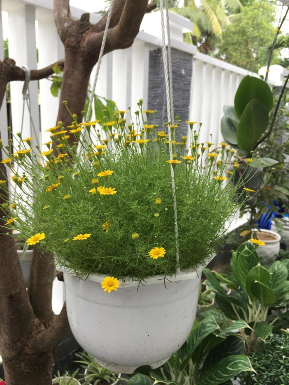 An Bang Scent Beach Homestay Hội An Kültér fotó